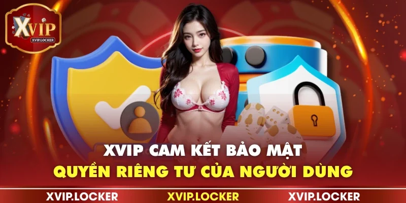 XVIP cam kết bảo mật quyền riêng tư của người dùng